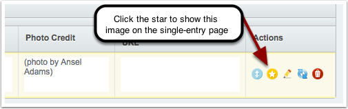 click the star in the Images field to make the image display on the single-entry page